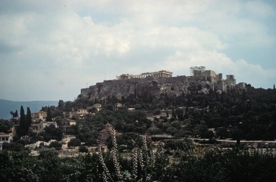 Acropolis 24